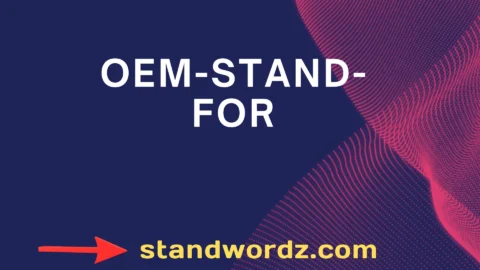 oem stand for