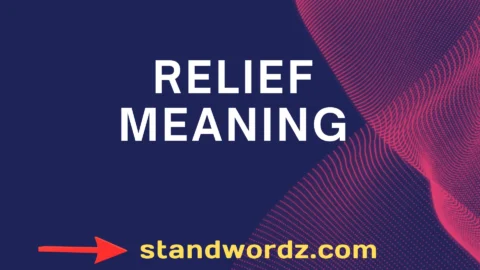 relief meaning