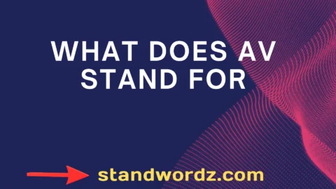 what does av stand for