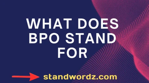 what does bpo stand for