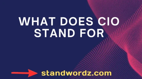 what does cio stand for