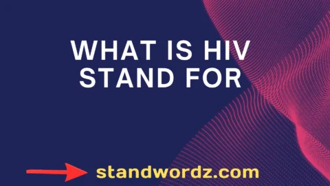 what is hiv stand for