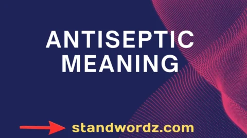 antiseptic meaning