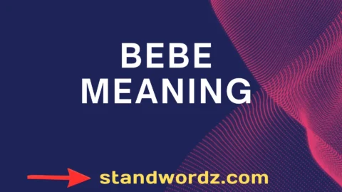 bebe meaning