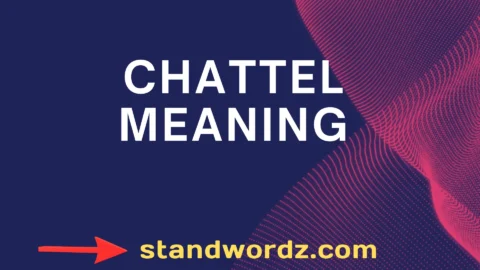 chattel meaning