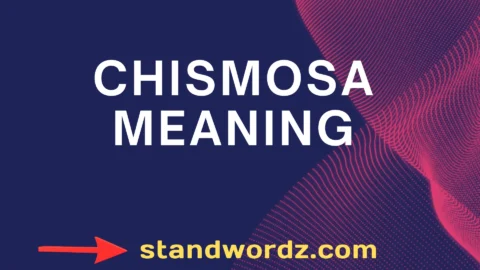 chismosa meaning