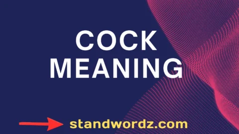 cock meaning