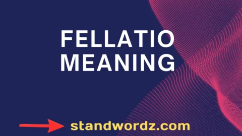 fellatio meaning