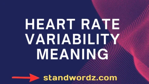 heart rate variability meaning