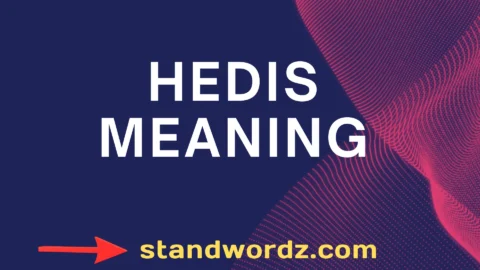 hedis meaning