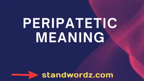 peripatetic meaning