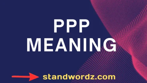 ppp meaning