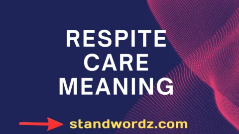 respite care meaning
