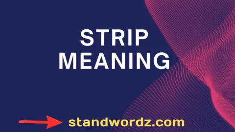 strip meaning