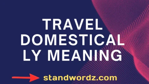 travel domestically meaning