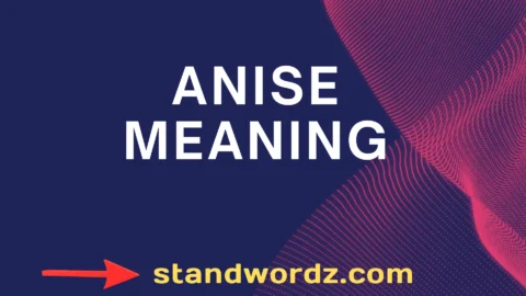 anise meaning