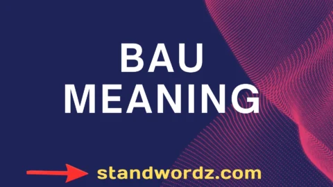 bau meaning