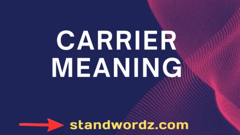 carrier meaning