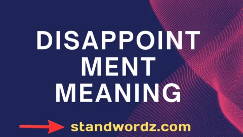 disappointment meaning