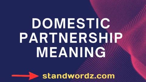 domestic partnership meaning