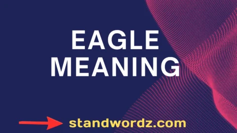 eagle meaning