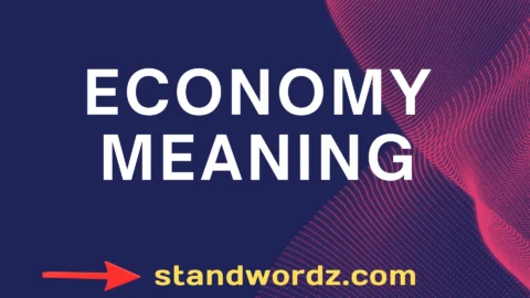 economy meaning