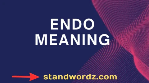 endo meaning