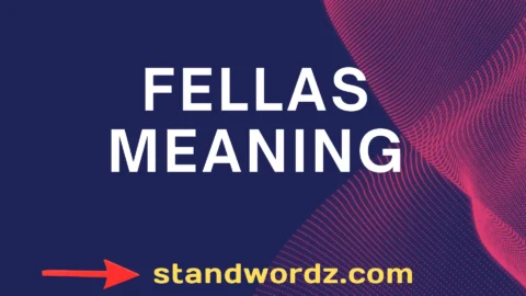 fellas meaning
