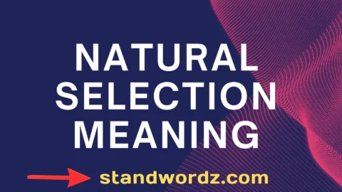 natural selection meaning