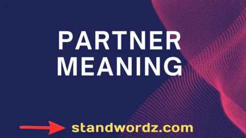 partner meaning