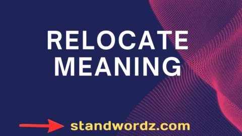 relocate meaning