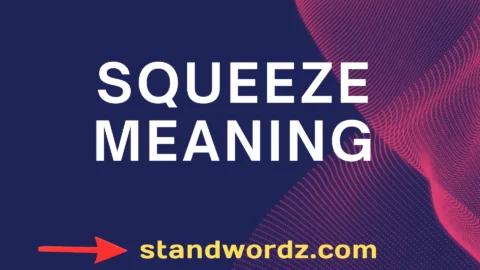 squeeze meaning