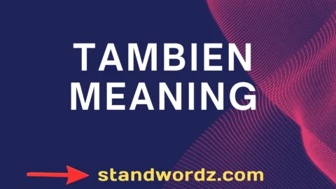 tambien meaning
