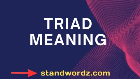triad meaning