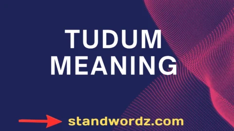 tudum meaning