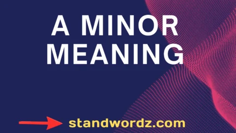 a minor meaning