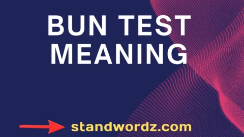 bun test meaning