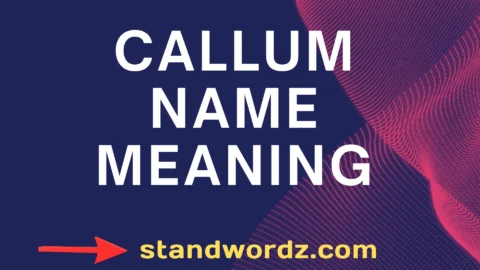 callum name meaning