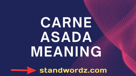 carne asada meaning