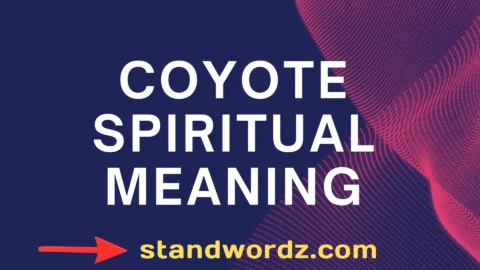 coyote spiritual meaning