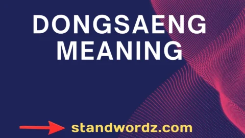 dongsaeng meaning