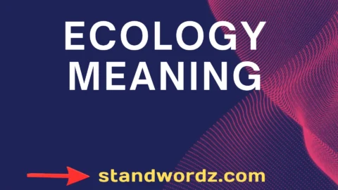 ecology meaning