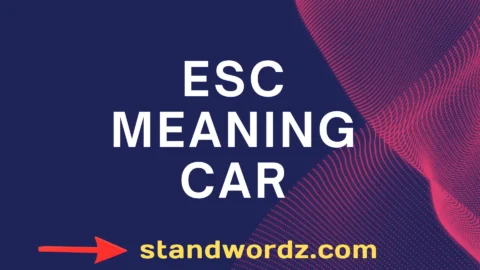 esc meaning car