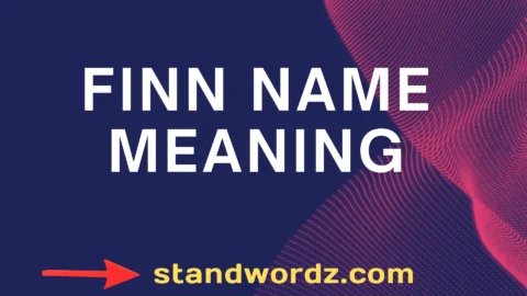 finn name meaning