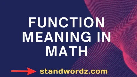 function meaning in math
