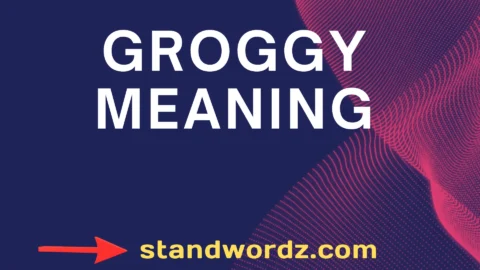 groggy meaning