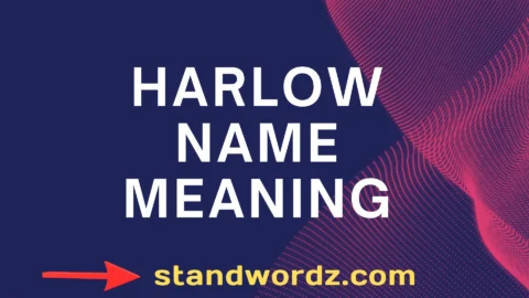 harlow name meaning