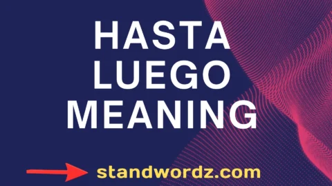 hasta luego meaning