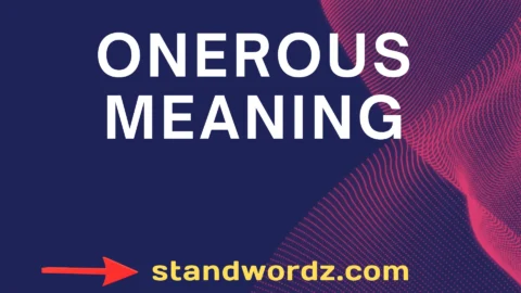 onerous meaning
