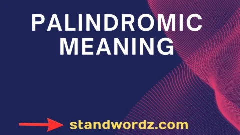palindromic meaning